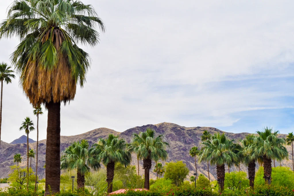 LMP Travels: Coachella and more in Palm Springs