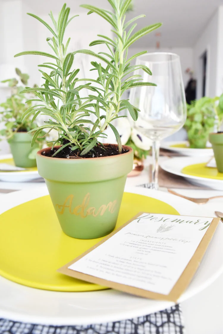 DIY Earth Day Planters