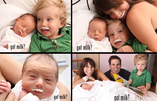 milk1.jpg