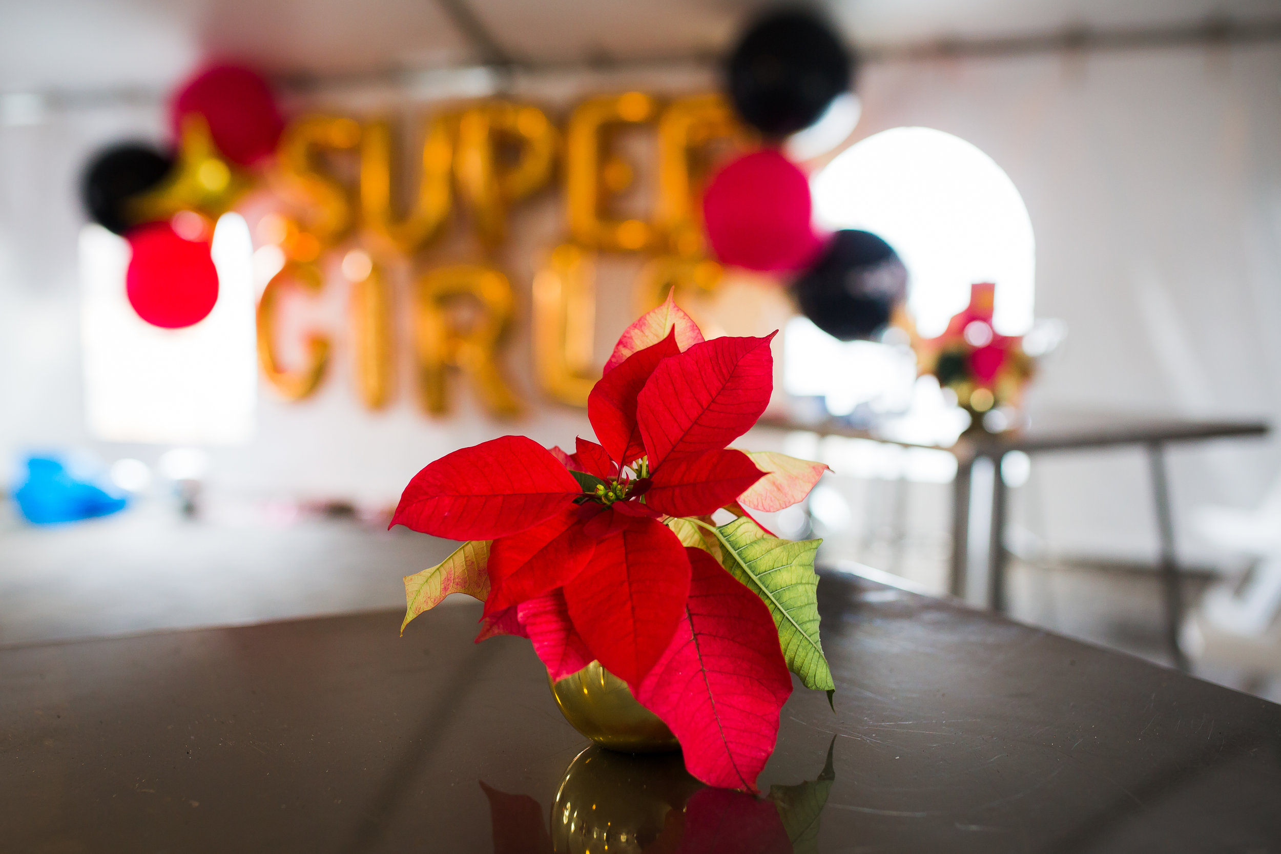 A Birthday Party fit for Super Girls