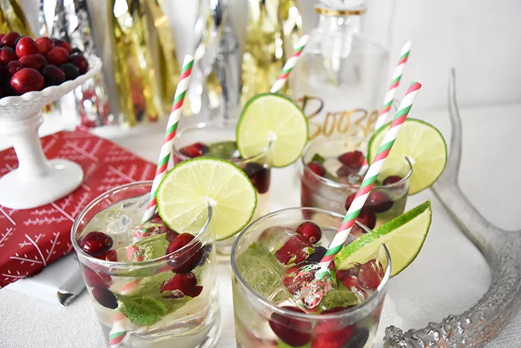 Festive Cranberry and Ginger Mojitos