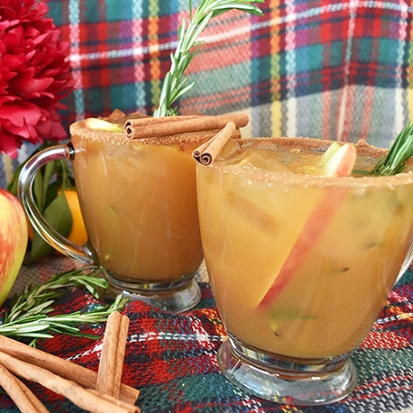 Harvest Apple Cider-itas