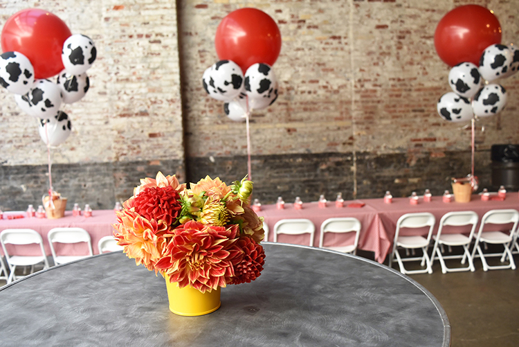 A Barnyard Birthday Bash