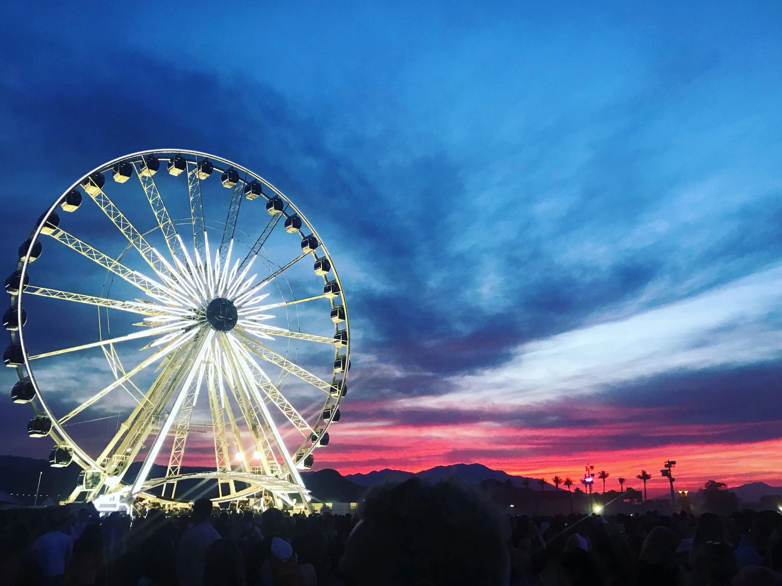 Coachella at 40.