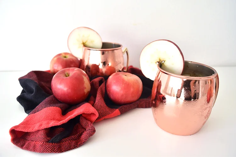 Bourbon Apple Cider Sour