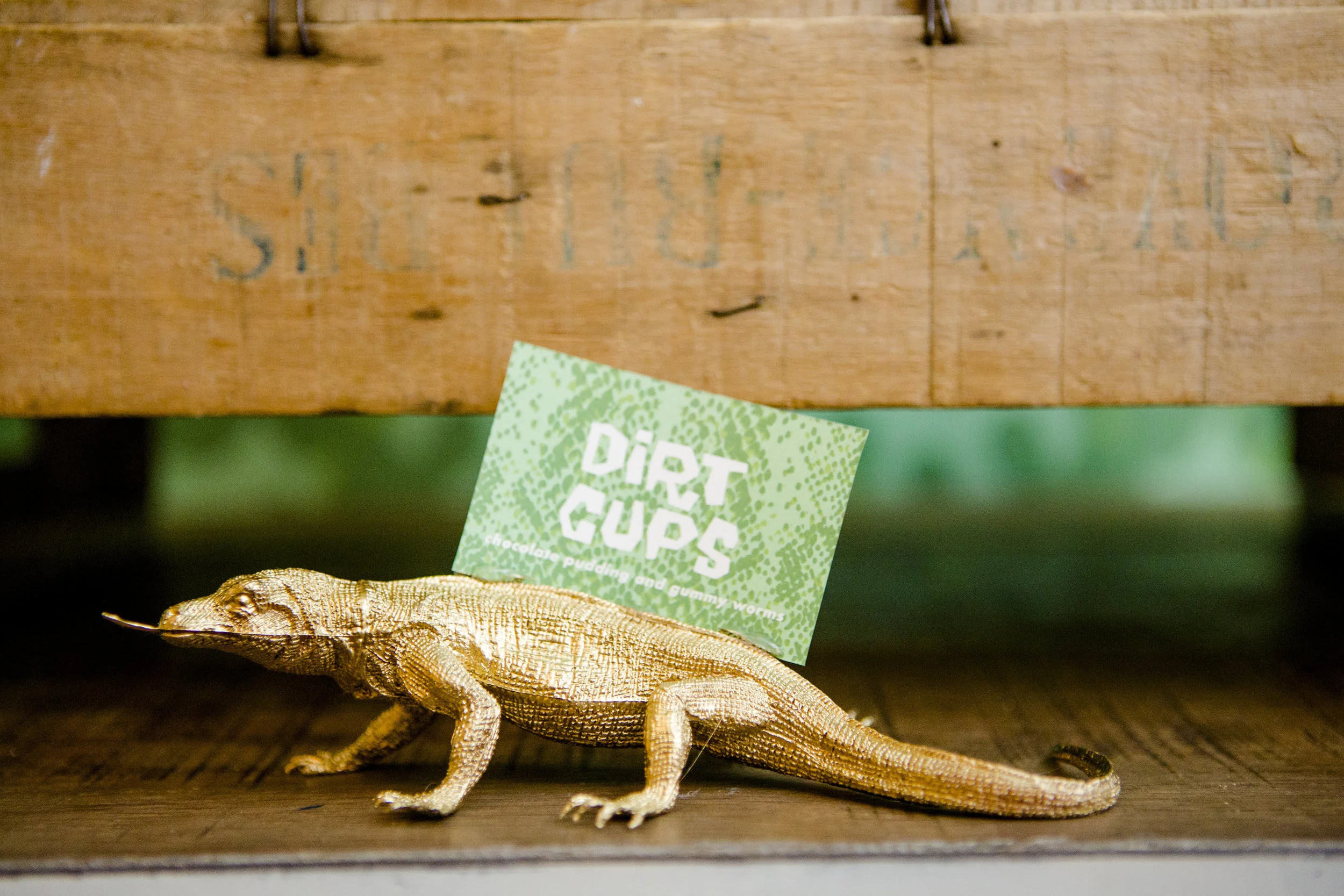 DIY Lizard Food Labels