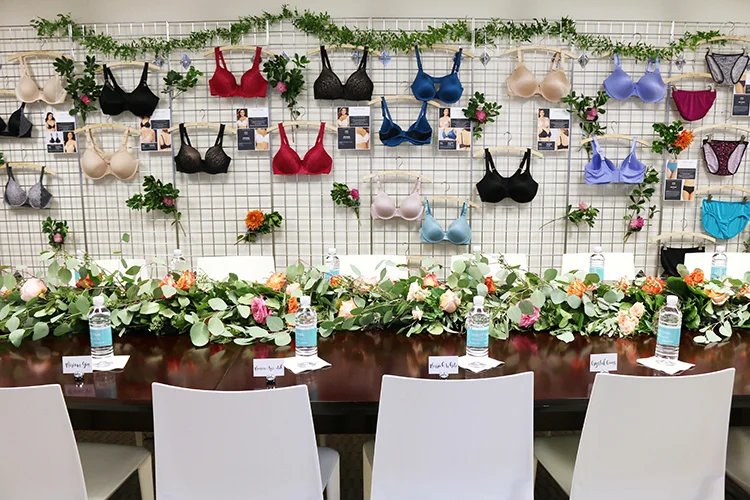 Vanity Fair Lingerie - Ambassador Summit