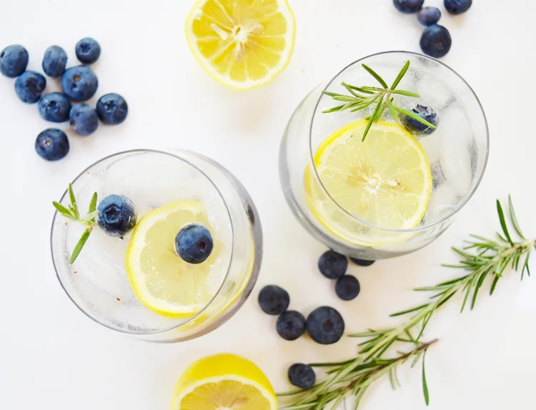 Blueberry, Lemon and Rosemary Vodka Soda