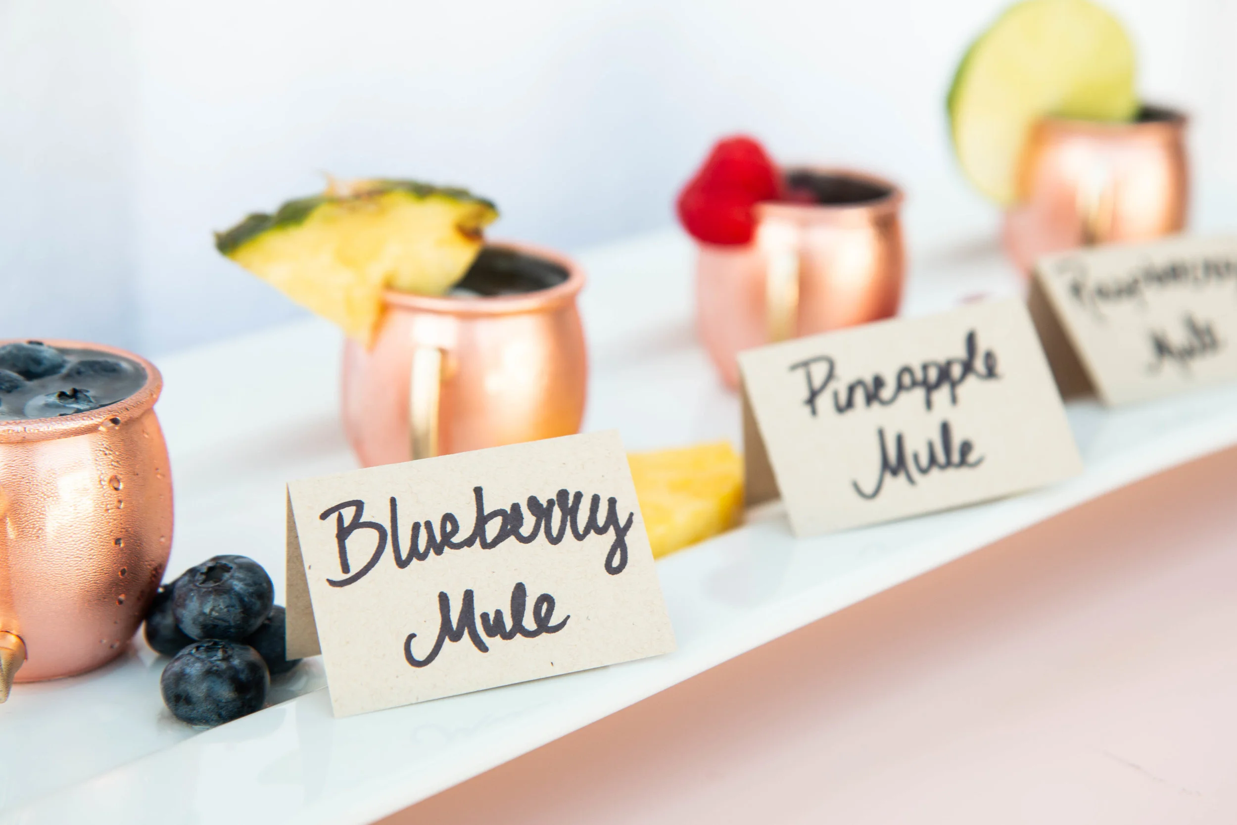 Mini Moscow Mule Flights