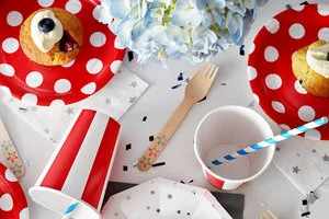 The Fourth Of July Party in a Box