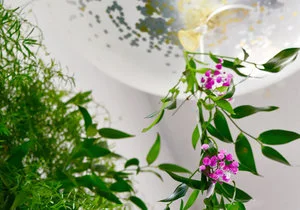 Chic and easy balloon DIY