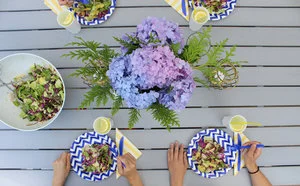 We got Cheeky this summer