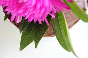 Casual &amp; Chic BBQ