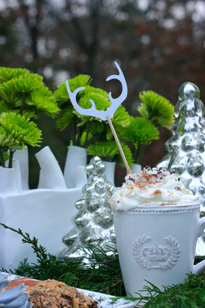 Hot Cocoa in our Winter Garden