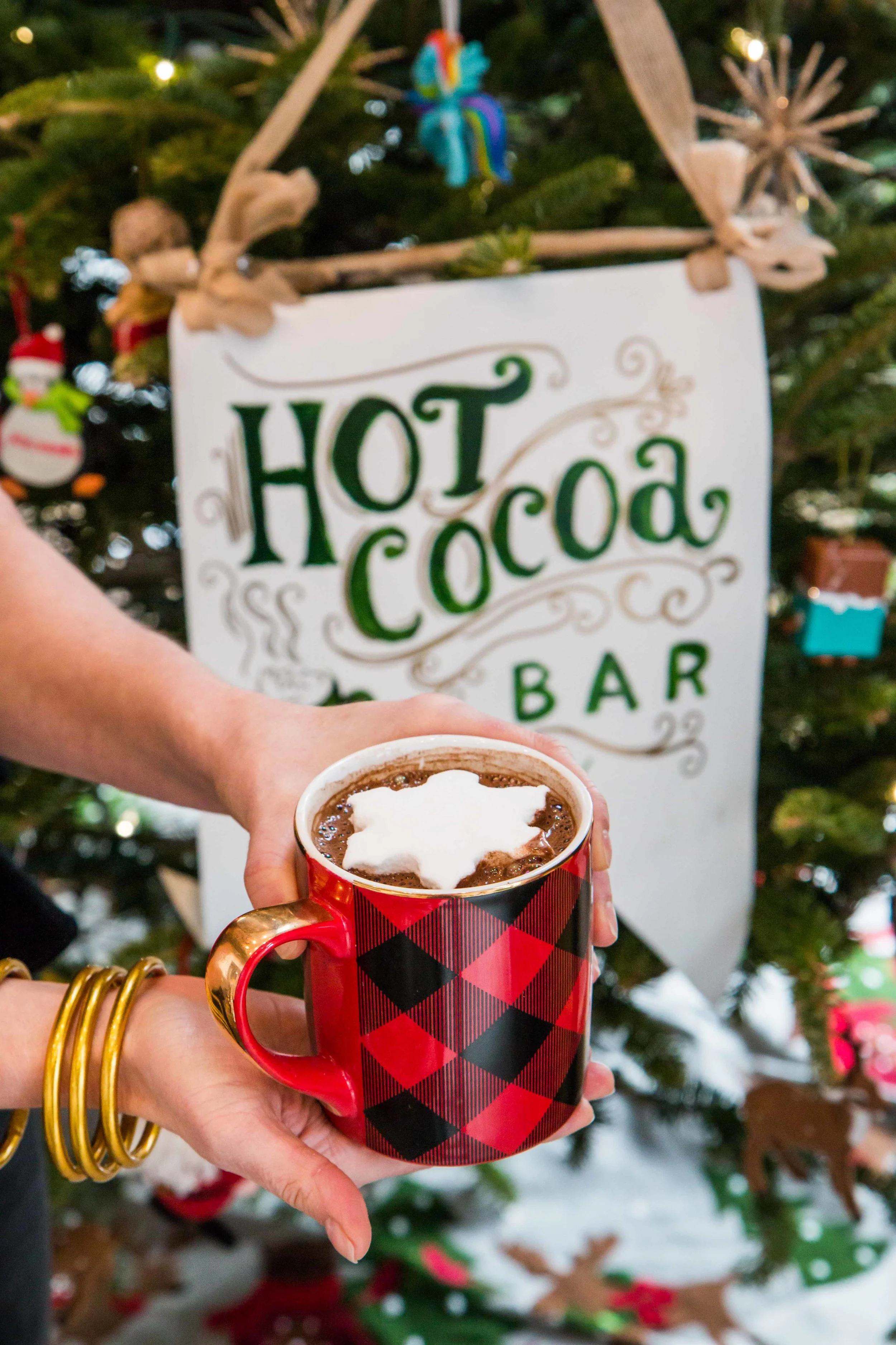 Hot Cocoa &amp; Winter Celebrations