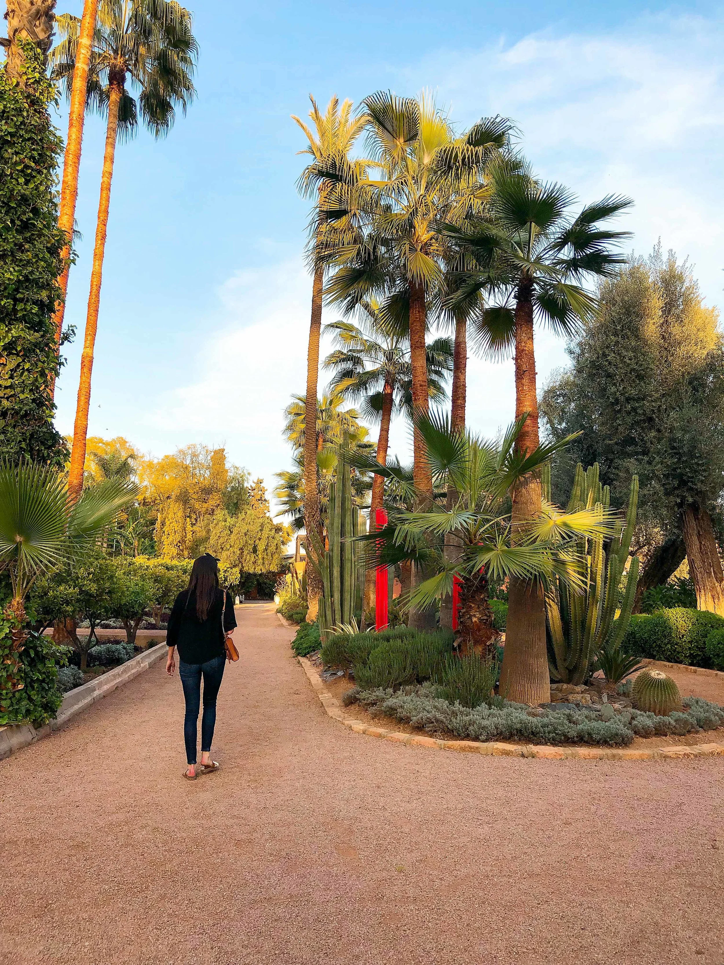IMG_1596.jpg