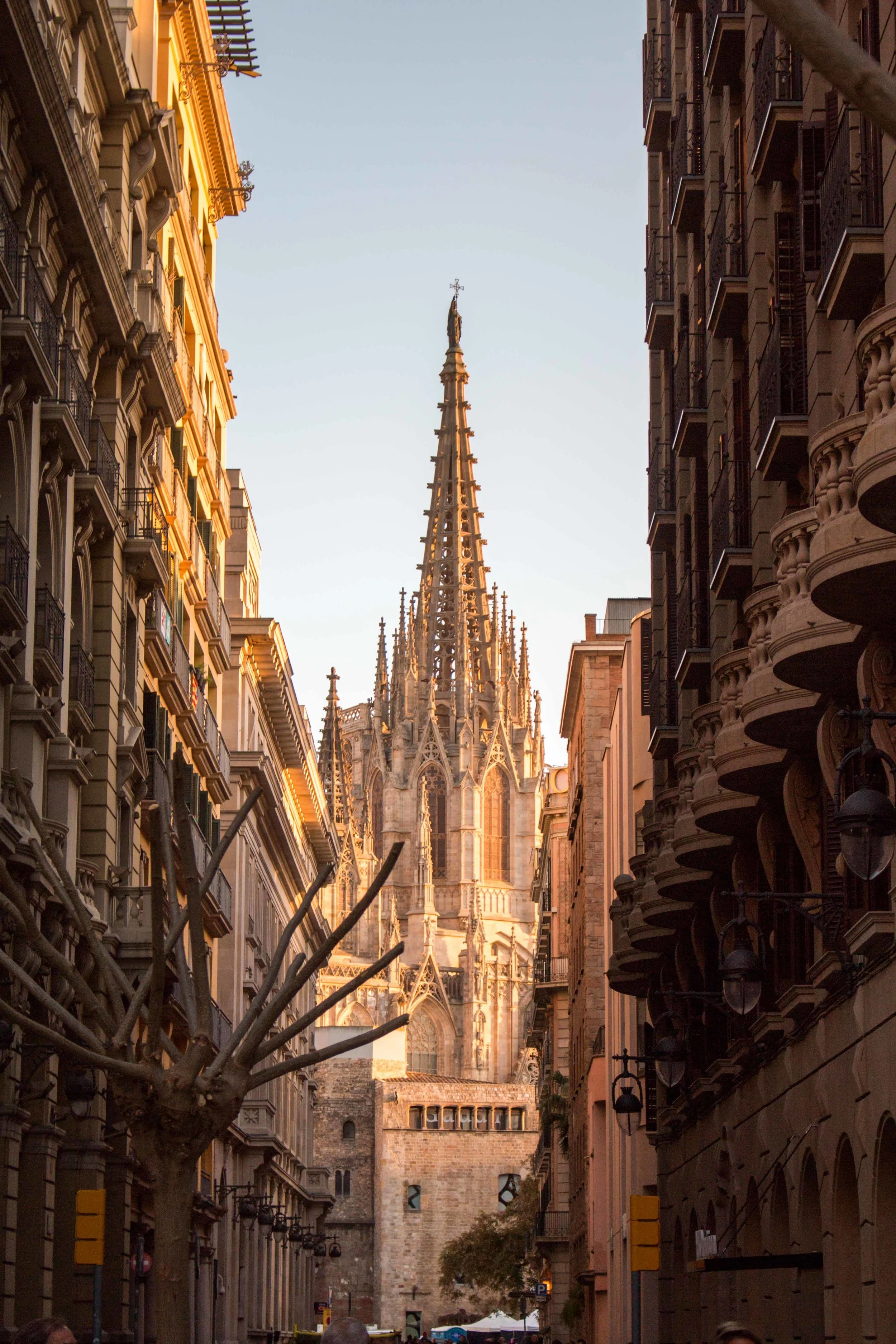 IMG_7511.jpg