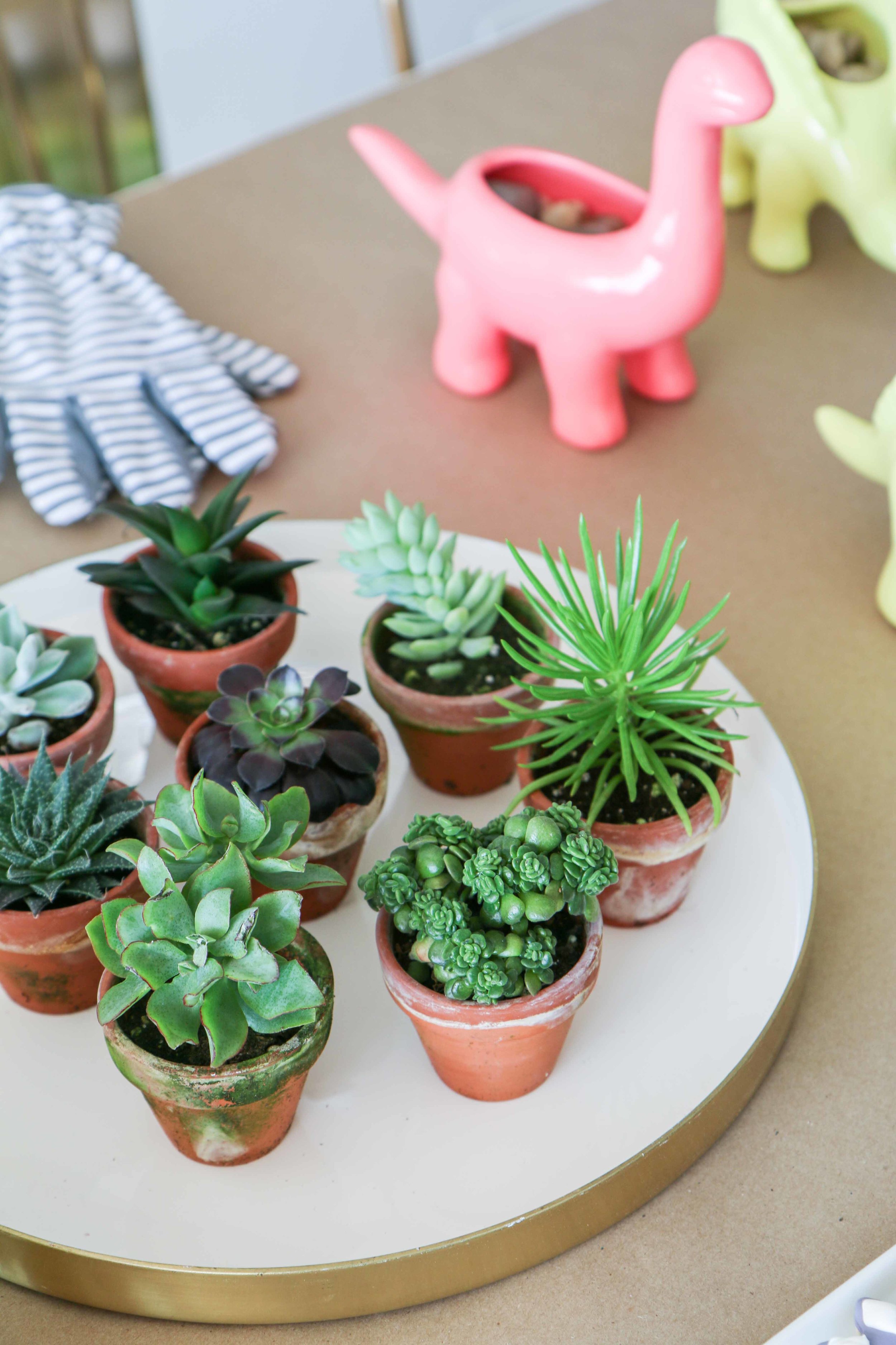 A Dino Themed Gardening Party