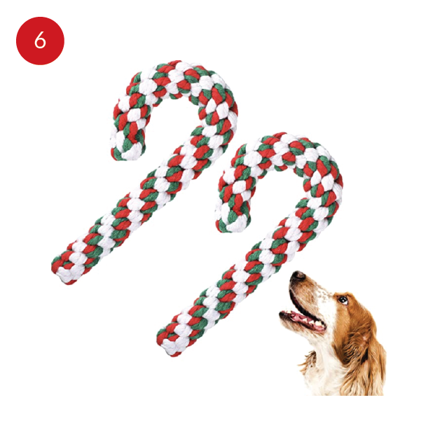 for-your-pets-06.png