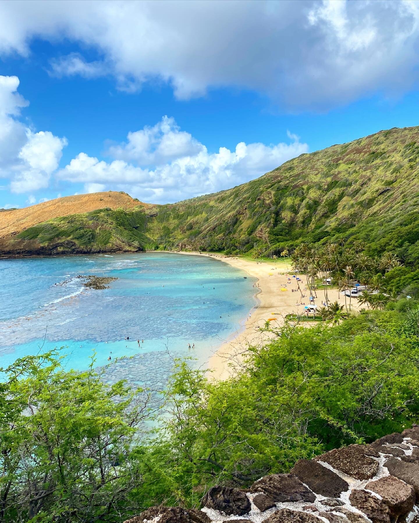 Okay, We're Going to Hawaii! 