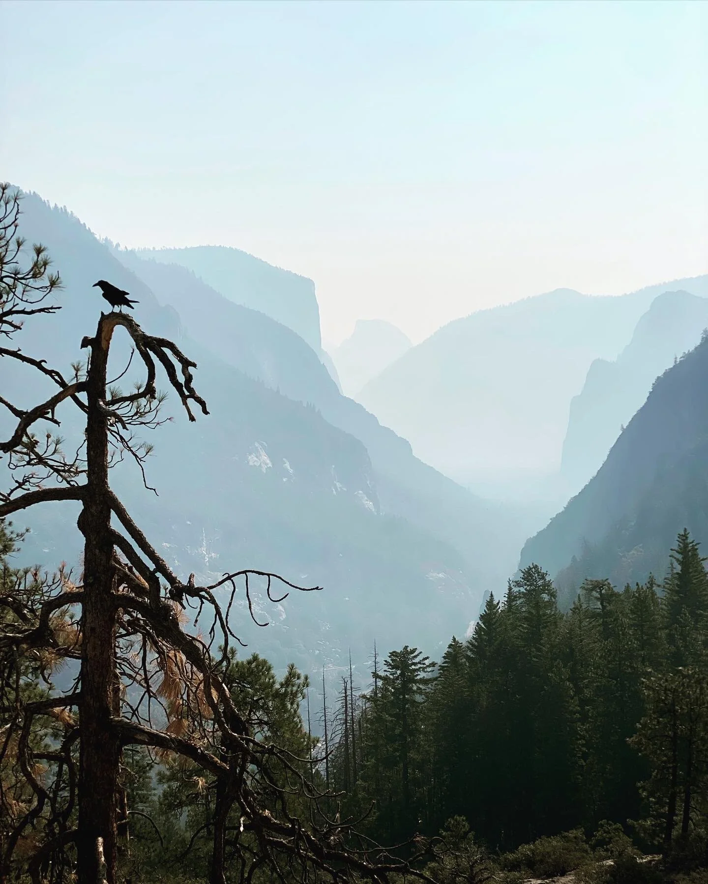 A Weekend In Yosemite National Park!