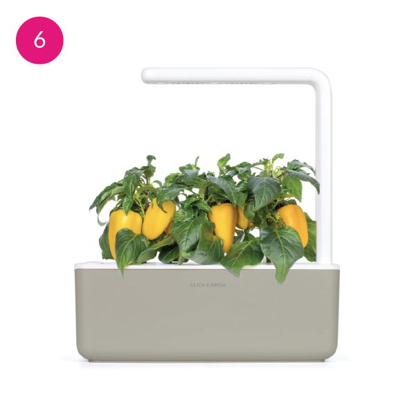 gift-guide-for-anyone-06.png