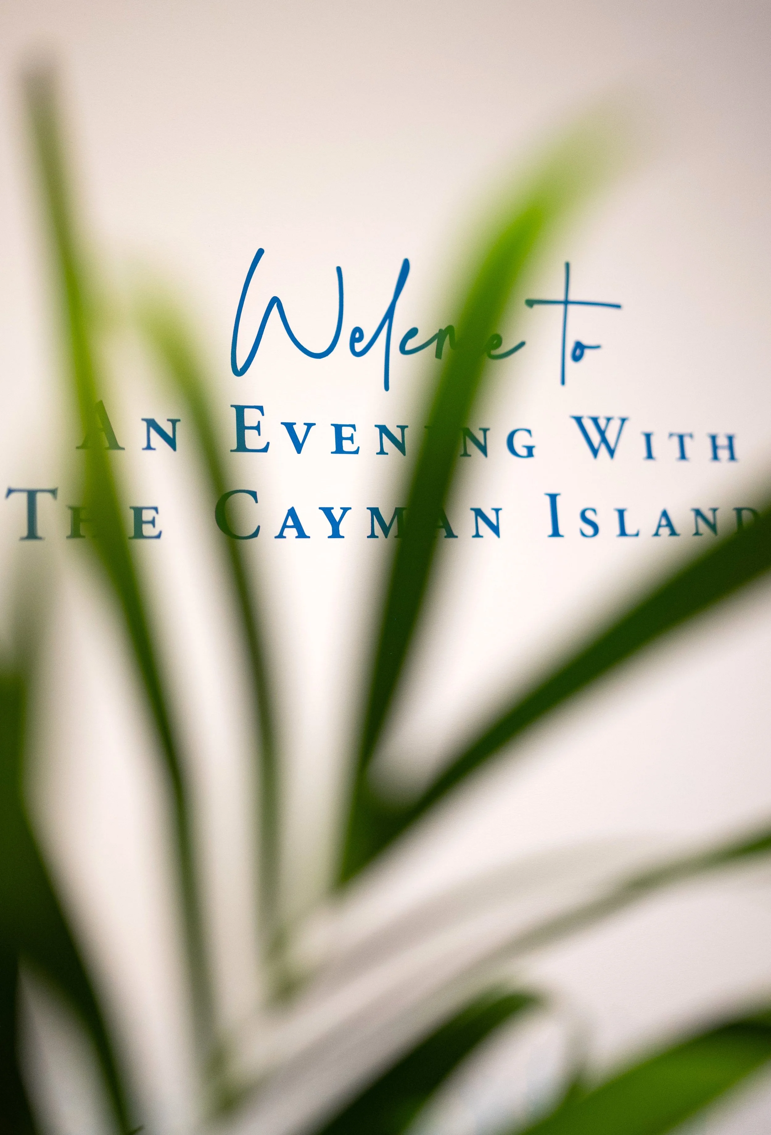 Dream in Cayman 