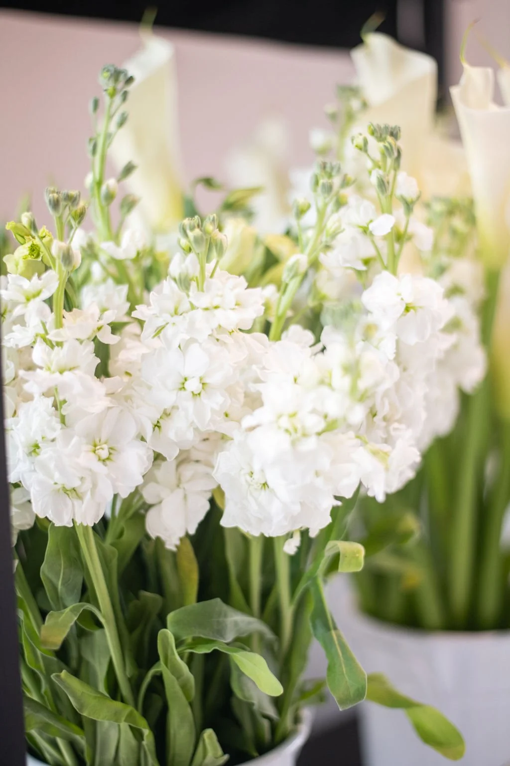SocialSociety-BridalShower-102.jpg