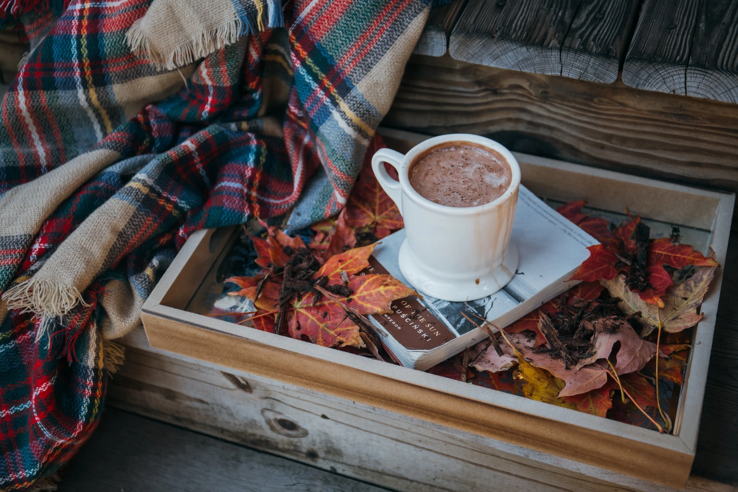 :Fall Edit: