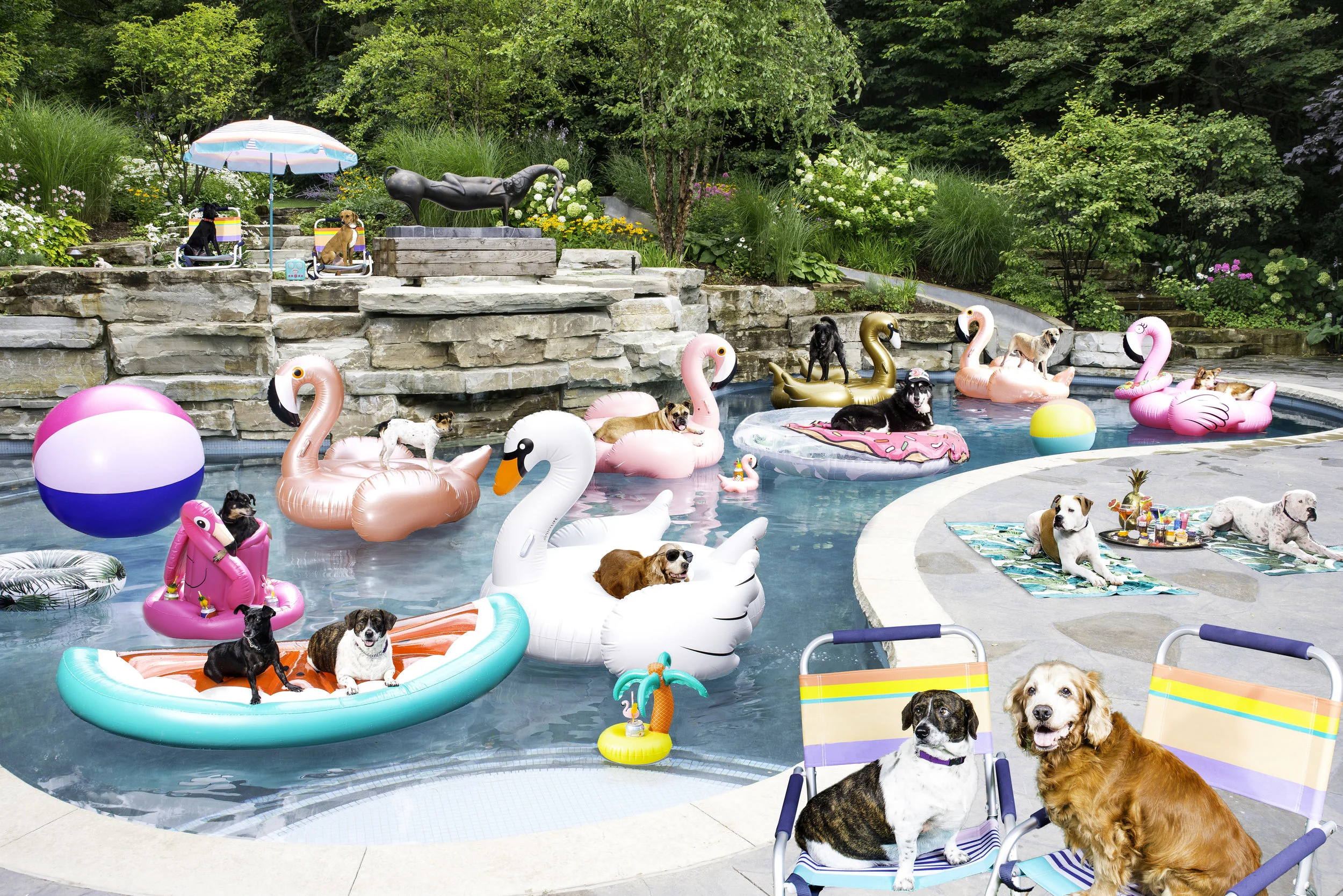 puppy pool with slide