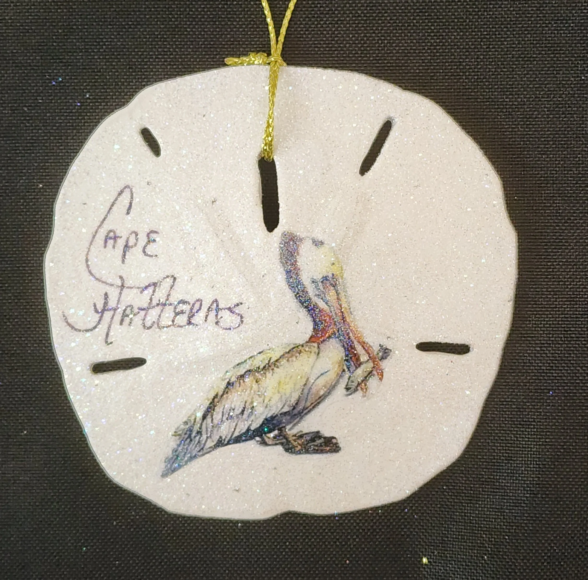 Real Sand Dollar with Pelican
