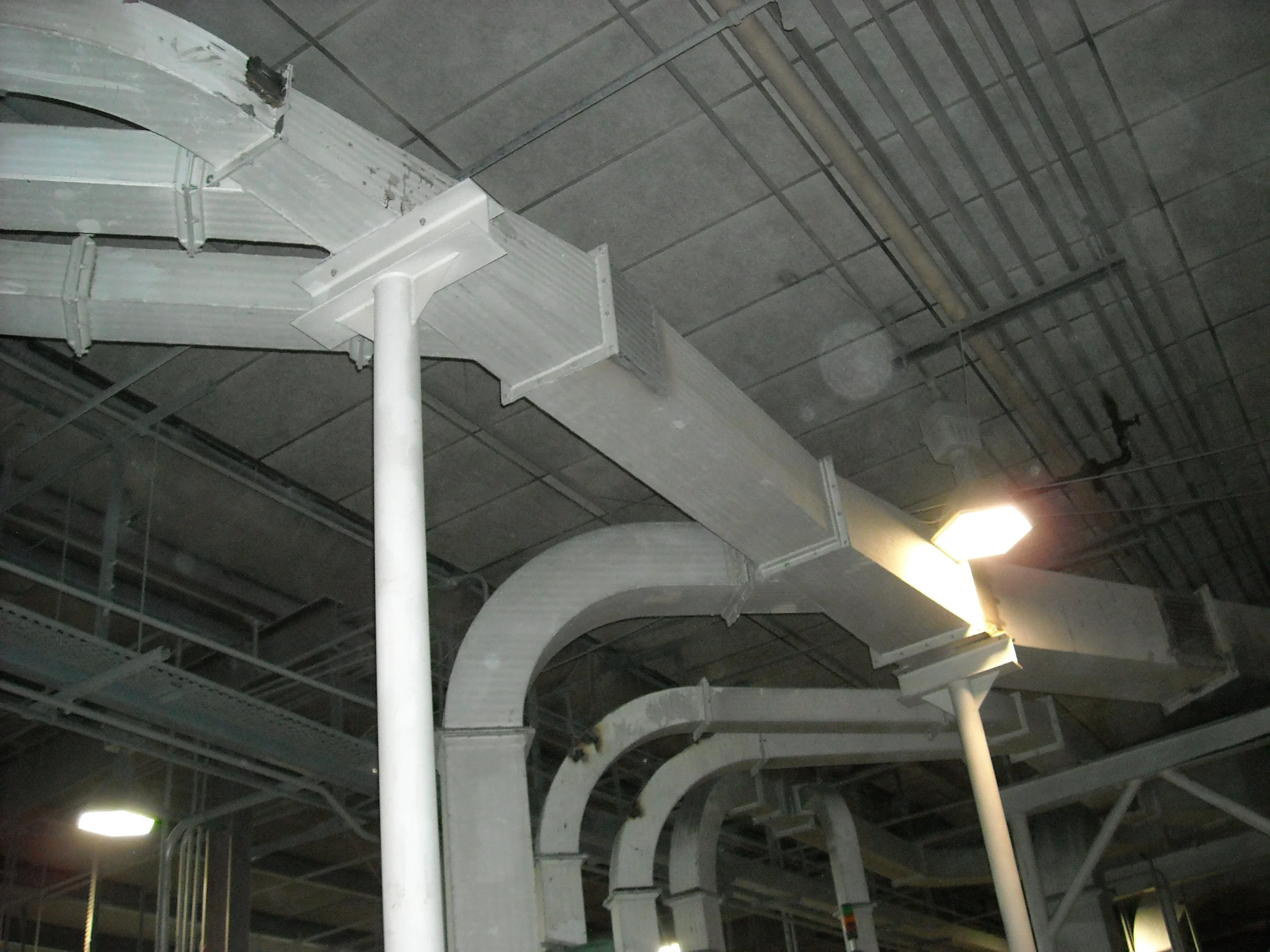 DSCN1216.jpg