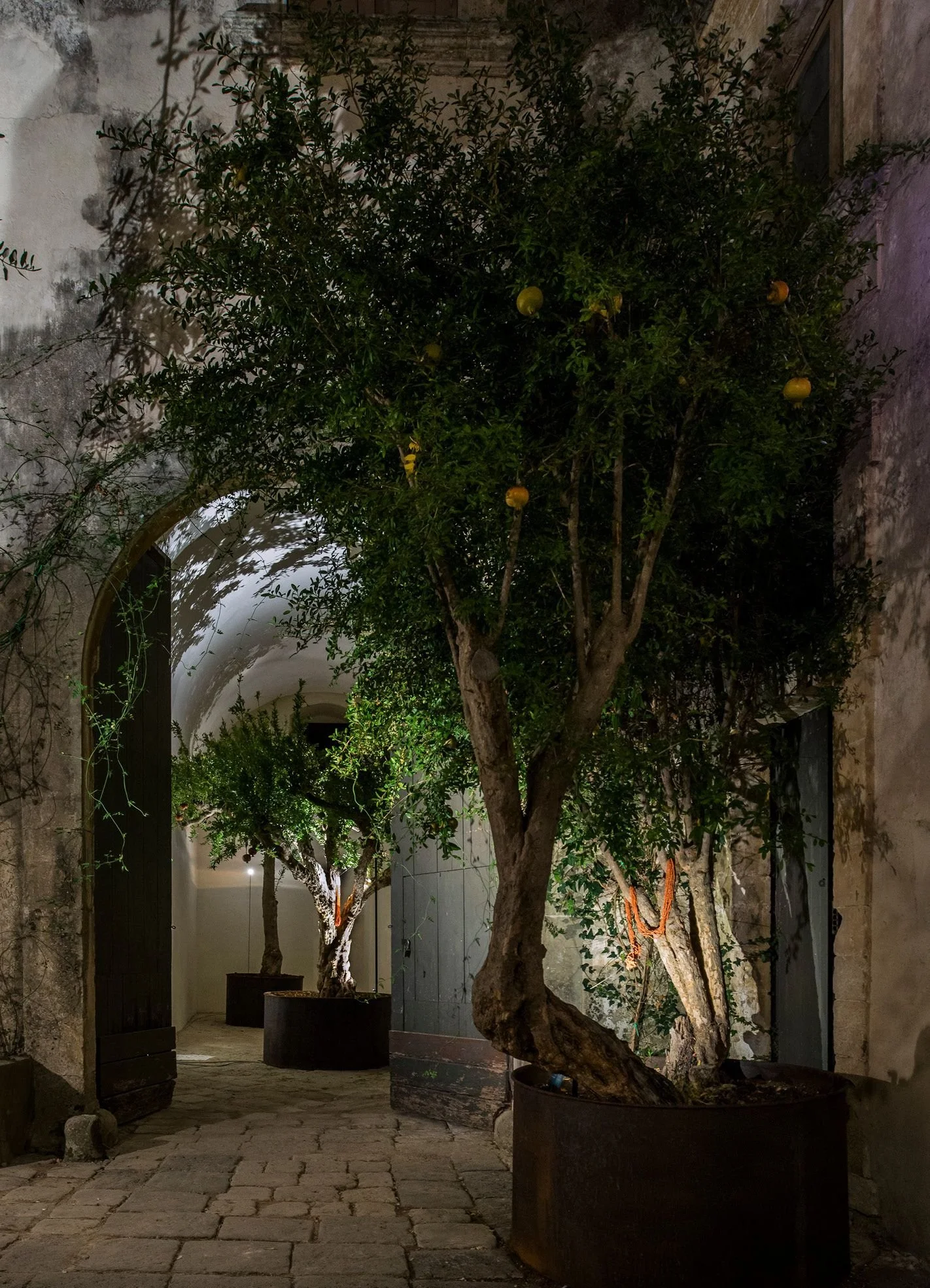 NOTO location INTERIORS.  11.JPEG