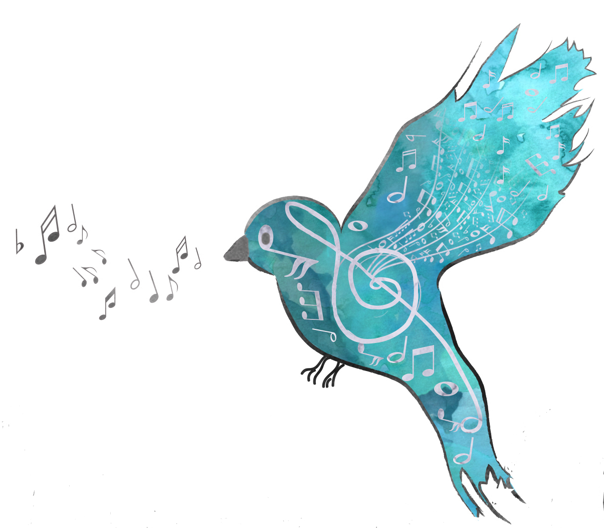 Meghan_Nixon- just bird.jpg