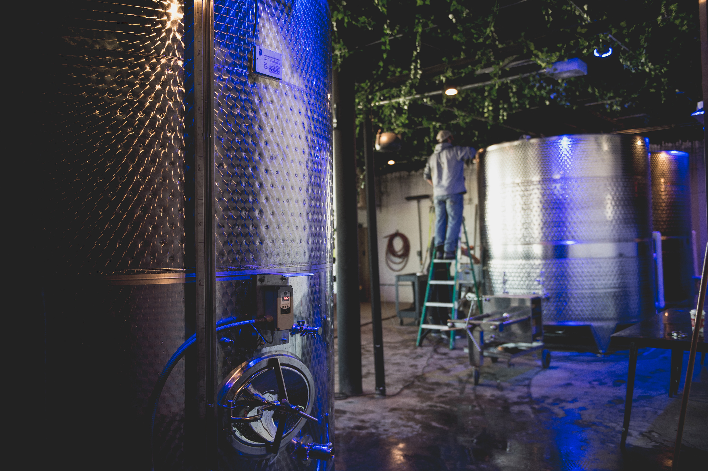 Love and Exile Wines - 3.jpg