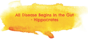gut_health_-_Google_Search-300x134.png