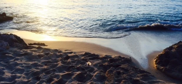 FullSizeRender 57.jpg