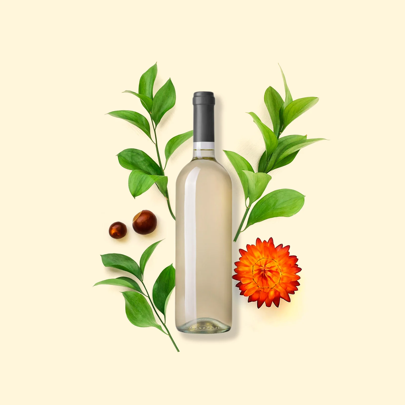 white-wine-composite-02.jpg