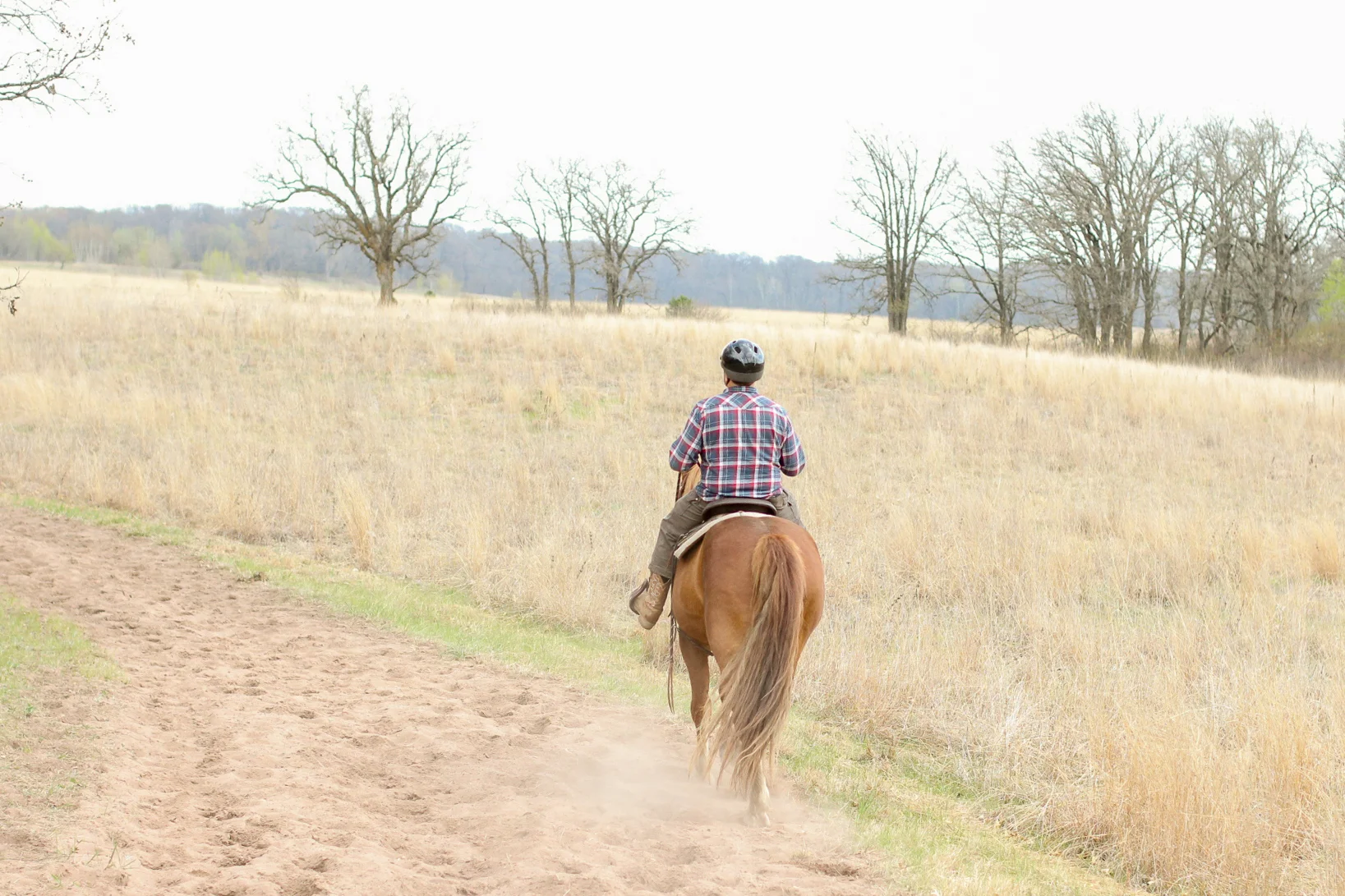 Minnesota Horseback Riding