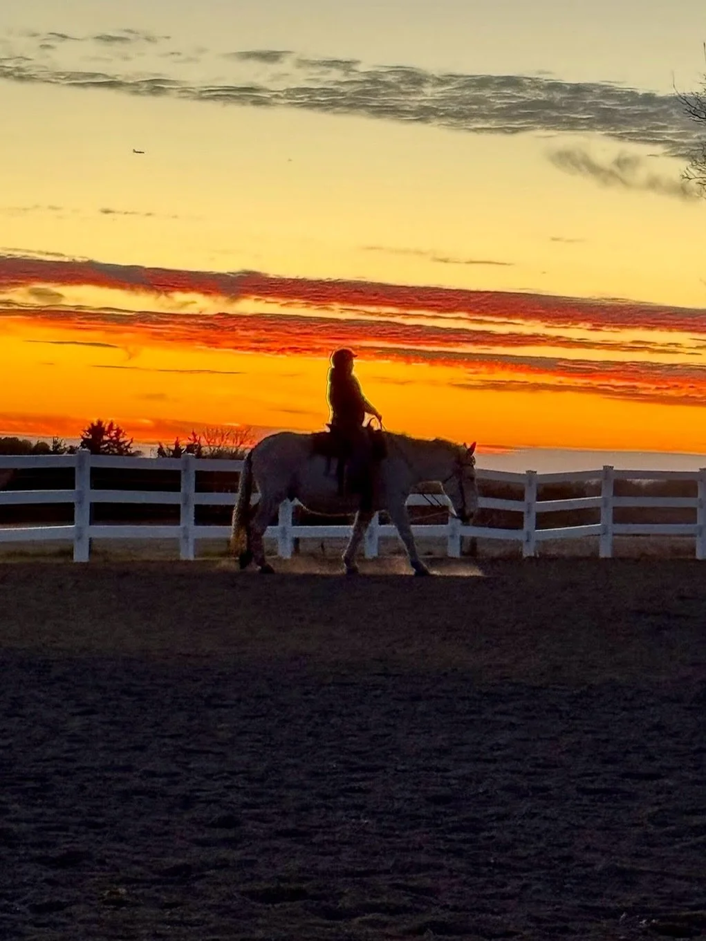 Short days lead to earlier sunsets, best appreciated between long ears. Cowgirls&rsquo; shadows stretch as long as their conversations about horses, which only end with more questions. 🌅 🤠 I&rsquo;ll take more nights like this. 🤍