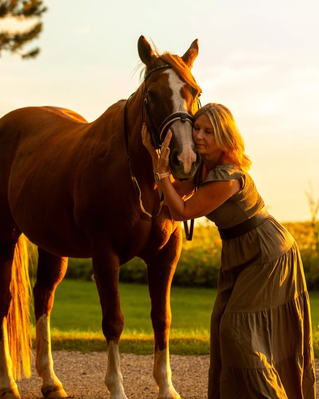 𝘞𝘩𝘢𝘵 𝘪𝘧 𝘶𝘯𝘥𝘦𝘳𝘴𝘵𝘢𝘯𝘥𝘪𝘯𝘨 𝘵𝘩𝘦𝘮 𝘪𝘴 𝘵𝘩𝘦 𝘳𝘦𝘢𝘭 𝘢𝘳𝘵?

#truenorthranchmn #thisismytruenorth #mnhorses #horses