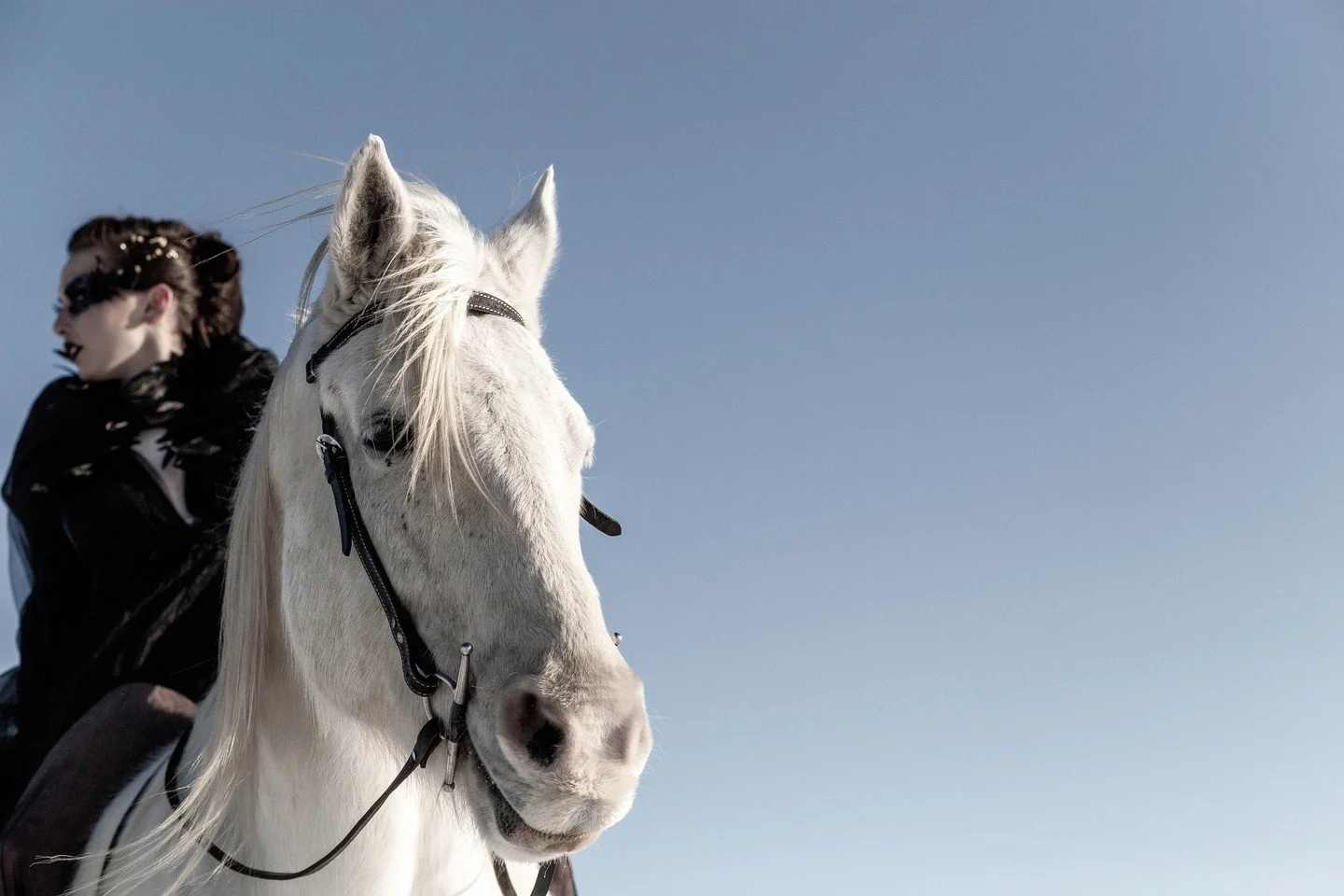 𝘿𝙤 𝙤𝙣𝙚 𝙩𝙝𝙞𝙣𝙜 𝙚𝙫𝙚𝙧𝙮 𝙙𝙖𝙮 𝙩𝙝𝙖𝙩 𝙨𝙘𝙖𝙧𝙚𝙨 𝙮𝙤𝙪.

#truenorthranchmn #thisismytruenorth #minnesota #mn #twincitieslive #mnbound #mplsmag #twincities #mnhorse #minnesotahorses #equinephotography