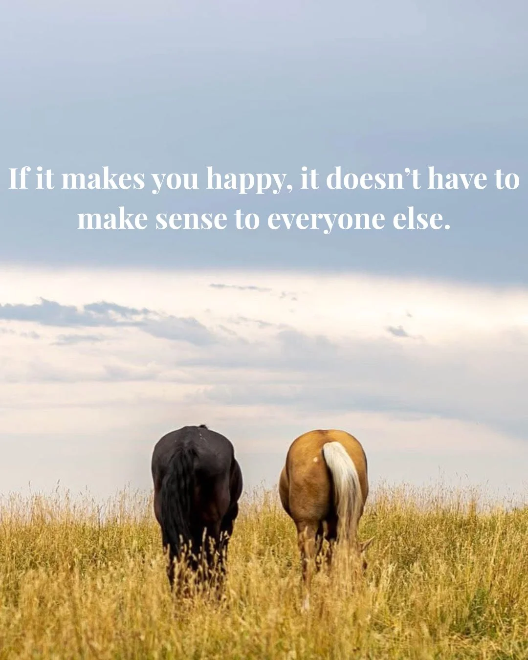 Do what makes you happy.

#mnhorses #truenorthranchmn #twincities #minnesota