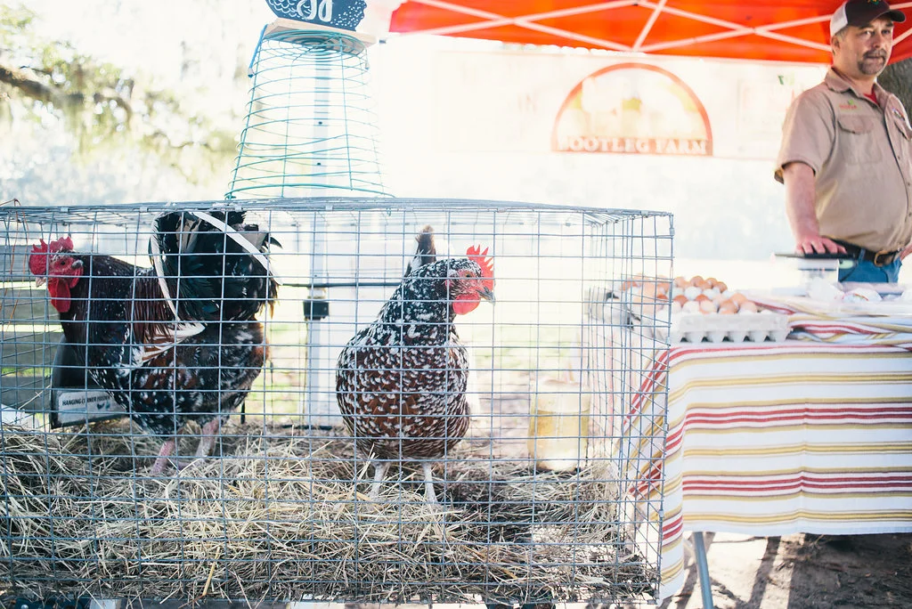 forsyth-farmers-market-january-14-2017-meg-hill-photo-(110of270).jpg