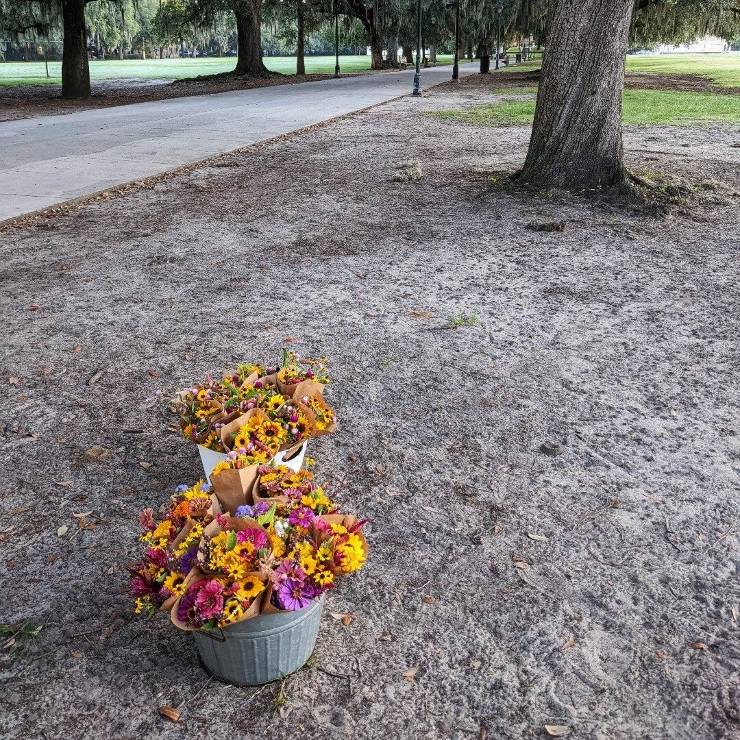 26+ Blanchard Farmers Market ElinorArhum