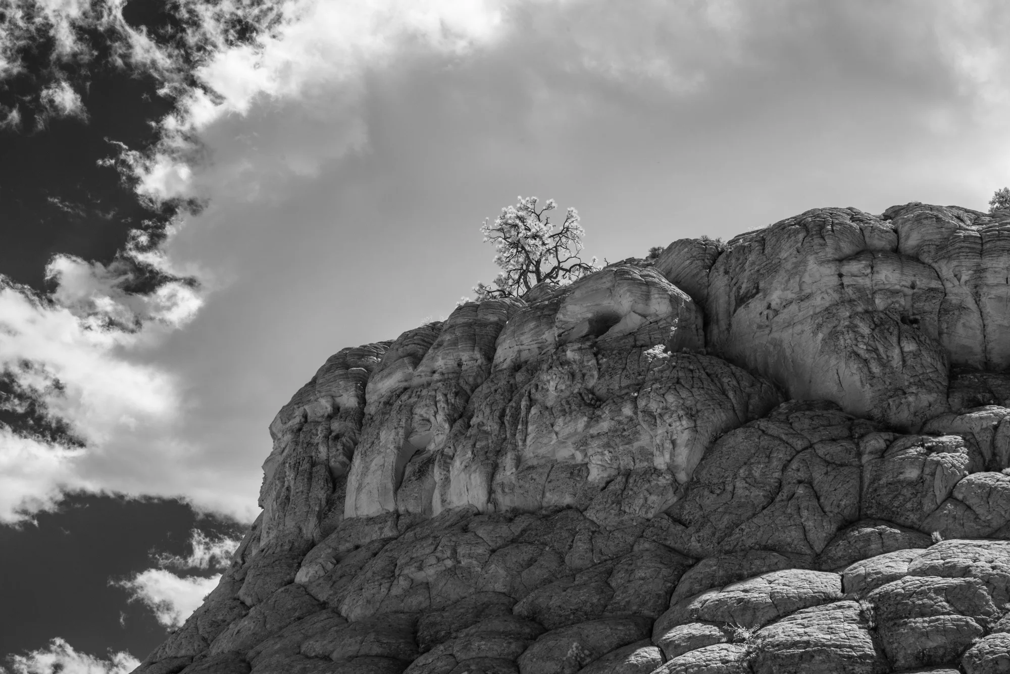 CAPITOL REEF 2 (2017)