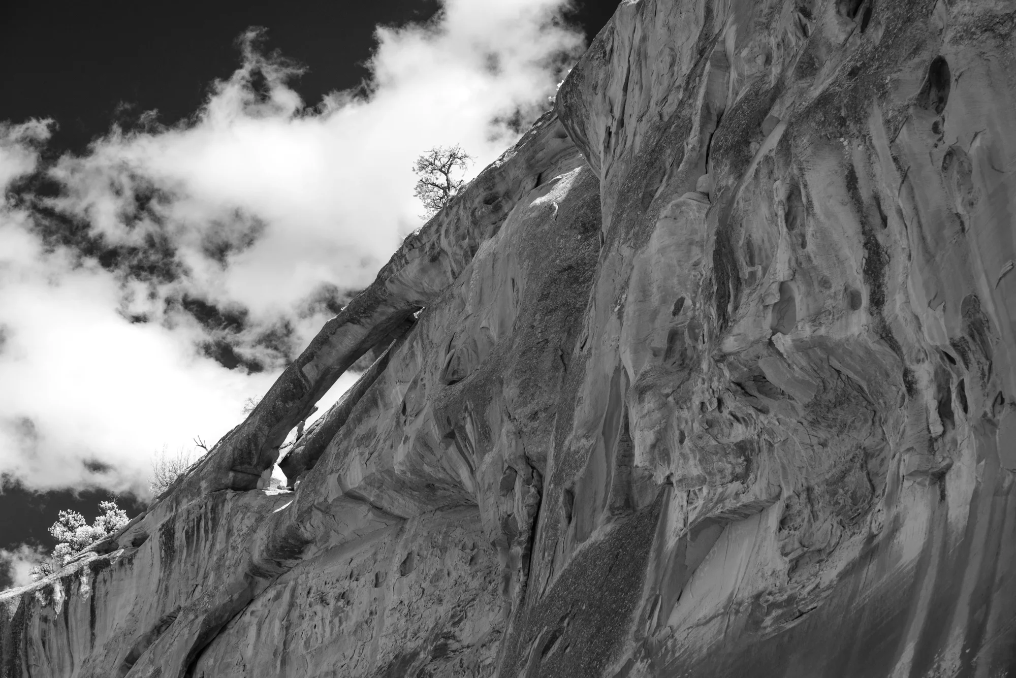 CAPITOL REEF 1 (2017)