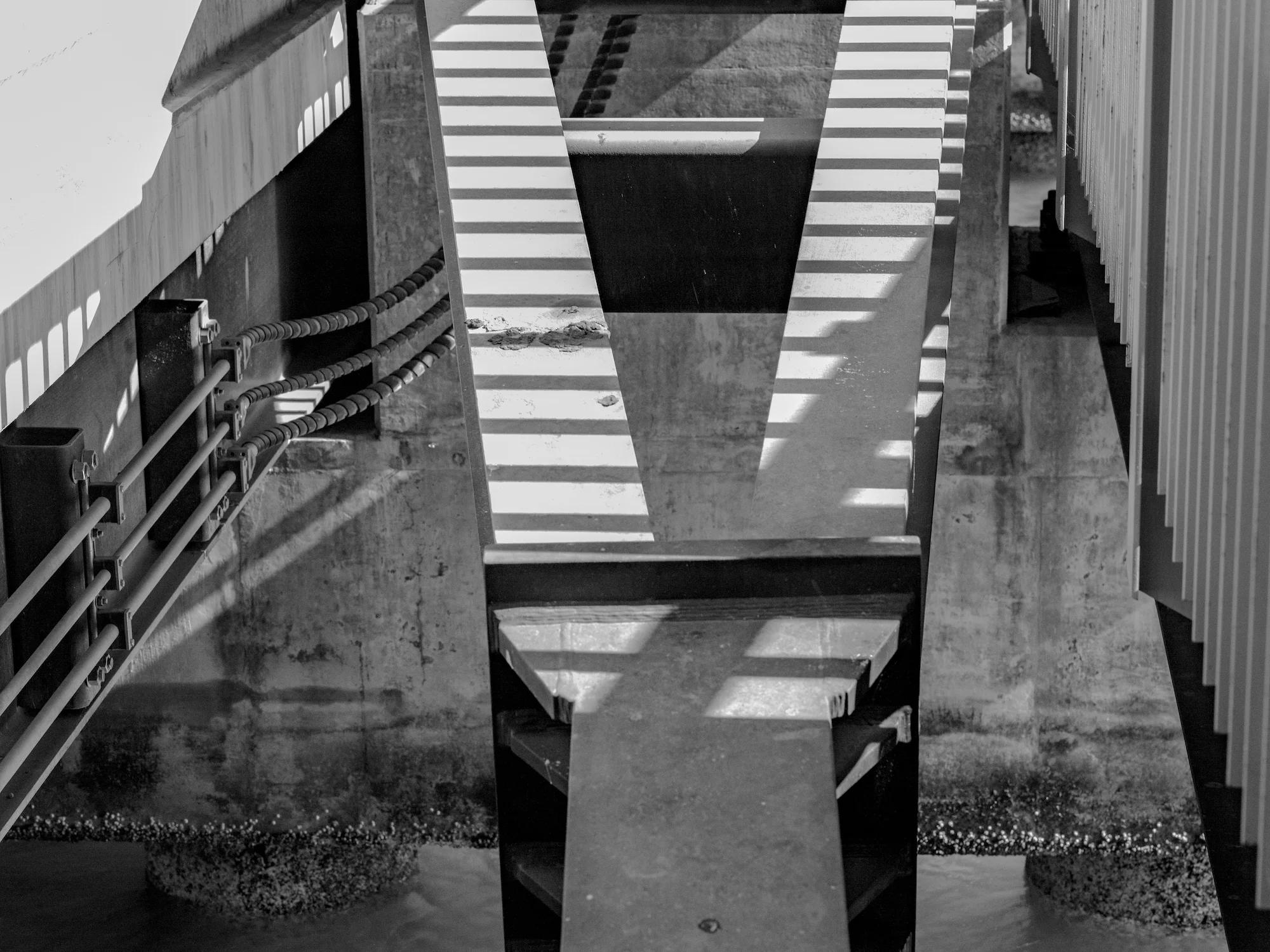 UNDER BRIDGE, ISLAIS CREEK (2018)