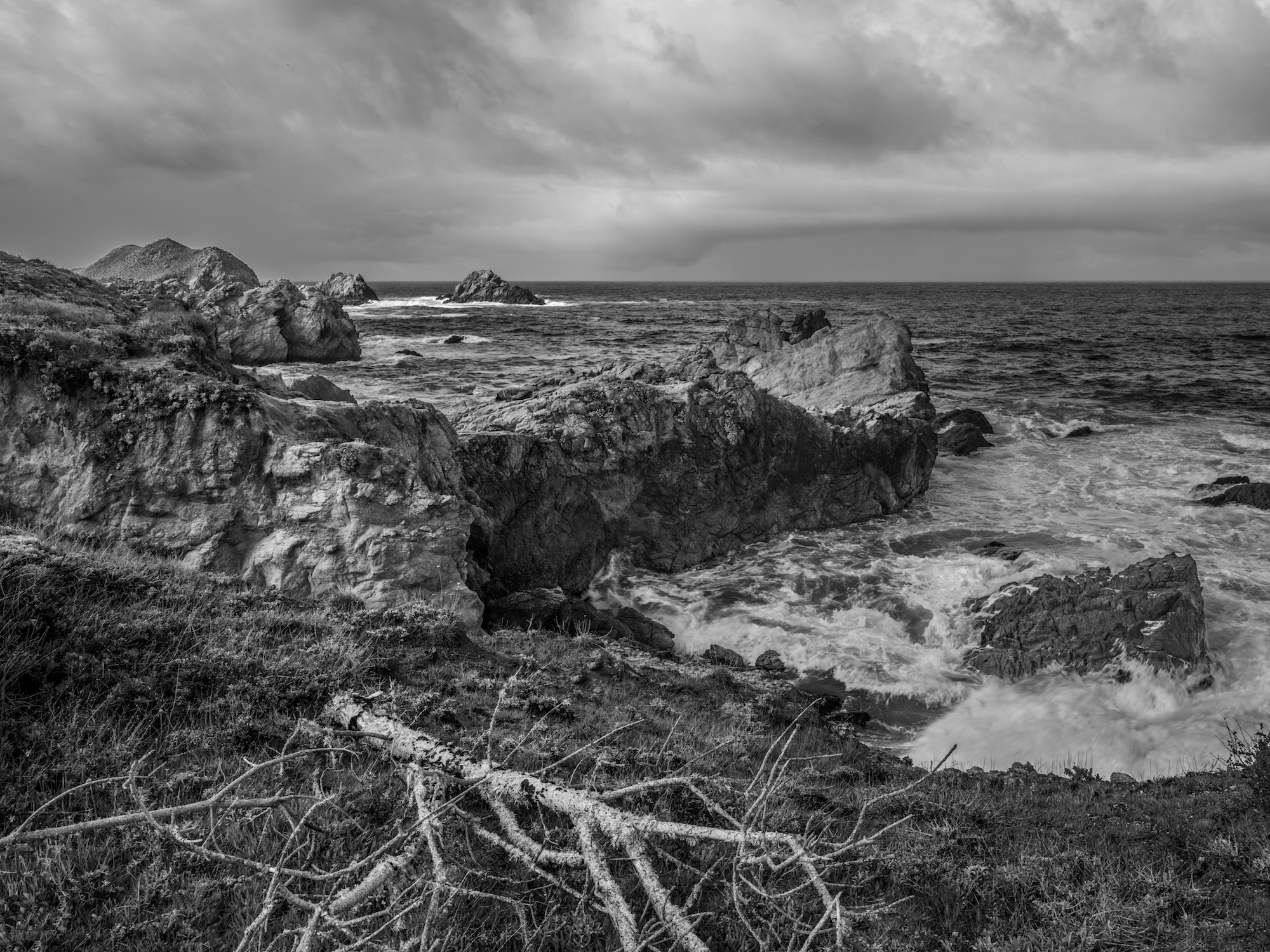 CRASHING WAVE &amp; LICHEN COVERED BRANCH (2019)