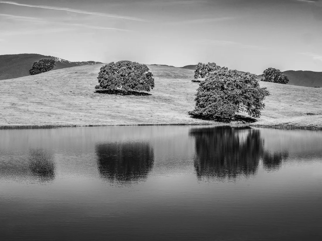 REFLECTED OAKS, GHOST RANCH (2019)
